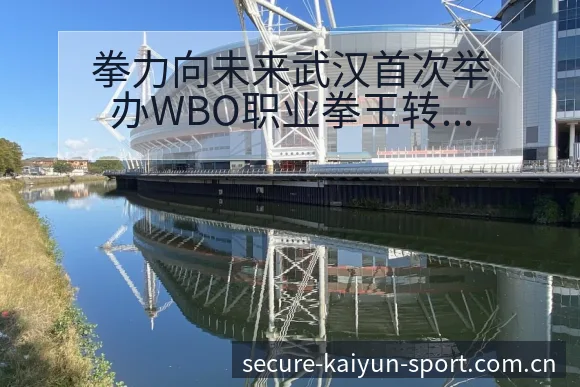 拳力向未来武汉首次举办WBO职业拳王转会进展与阵容影响技 - 开云